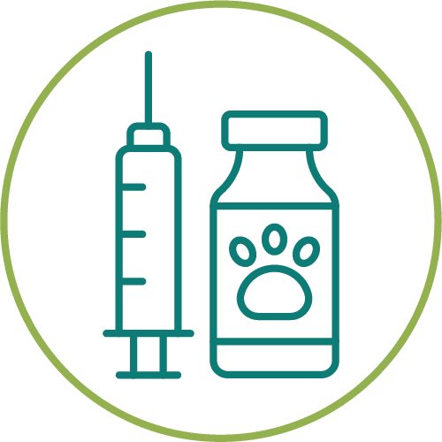dark green drawing of vaccinations inside of a light green circle